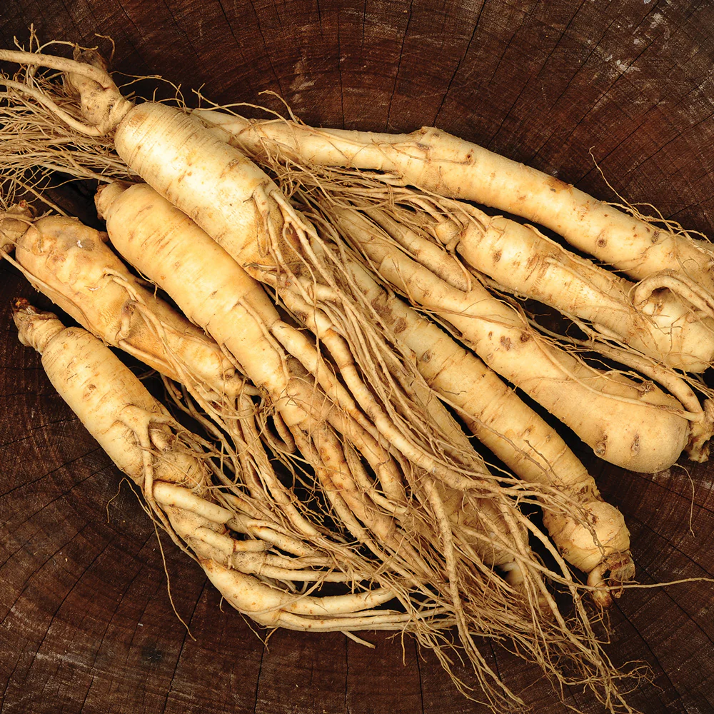 American Ginseng
