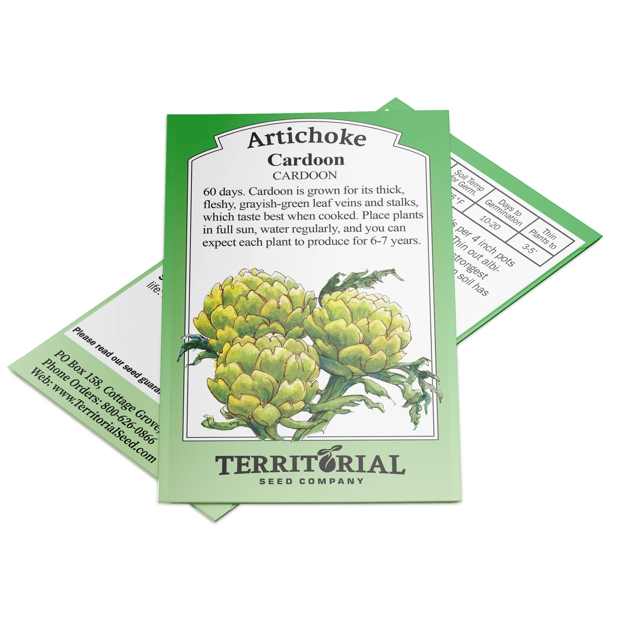 Cardoon Artichoke - Image 4