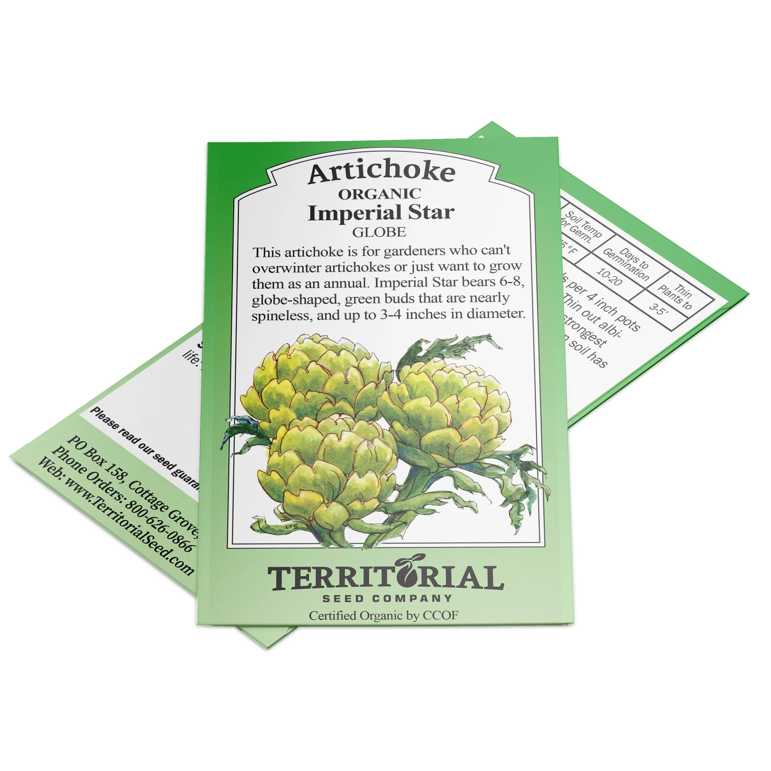 Imperial Star Artichoke - Image 4