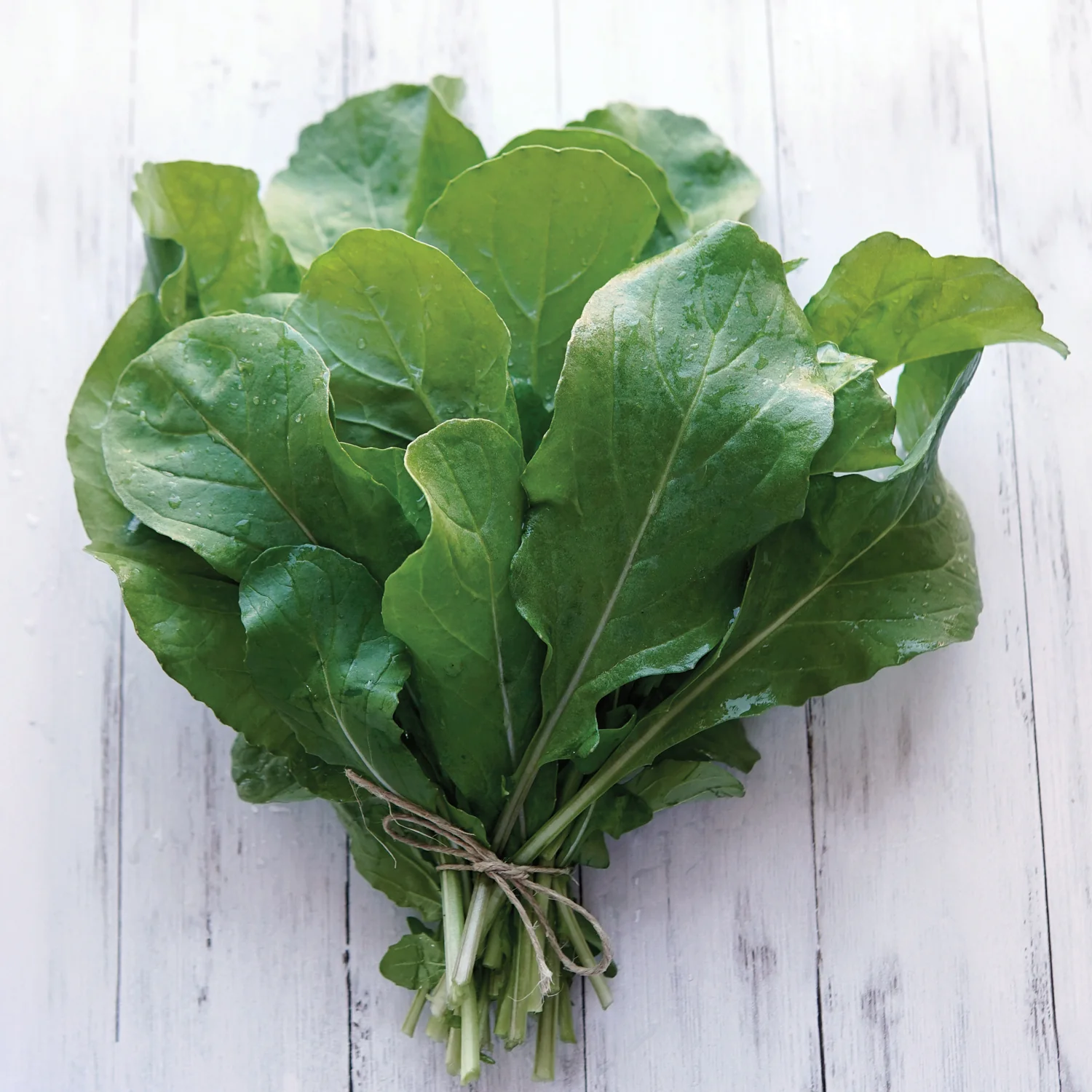 Roquette Arugula
