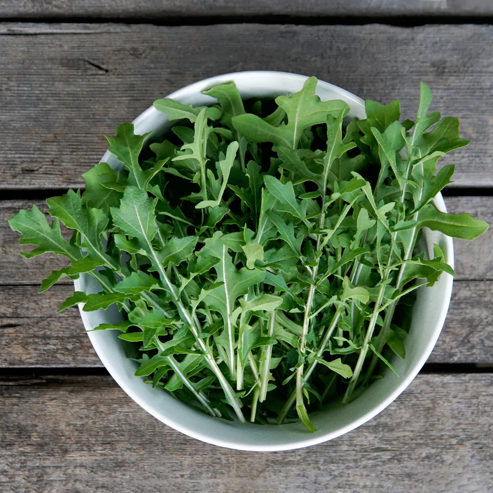 Speedy Arugula