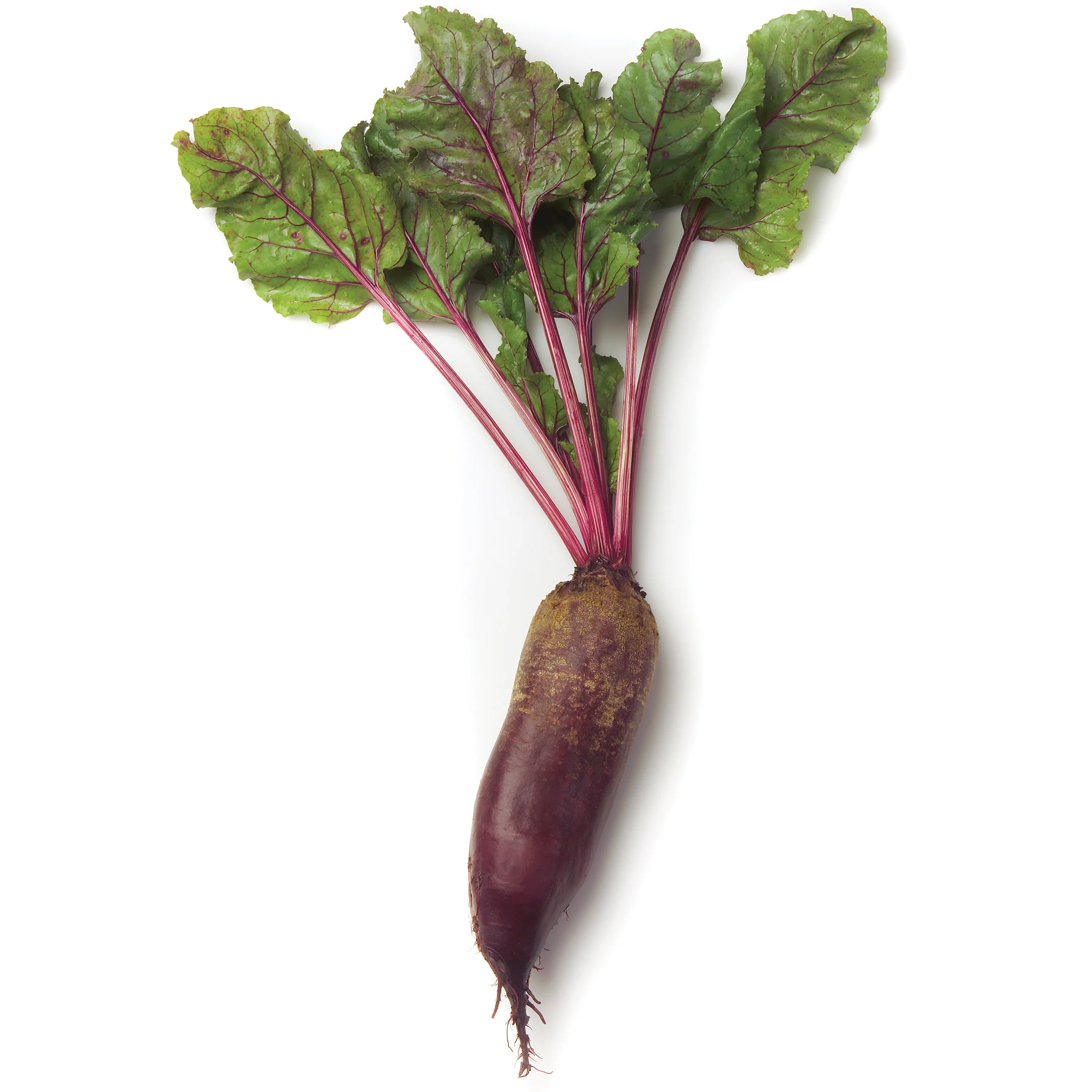 Carillon Beet