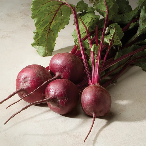 Merlin Beet - Image 2