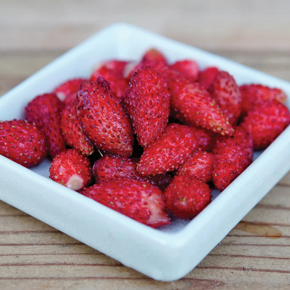 Italian Alpine Strawberry