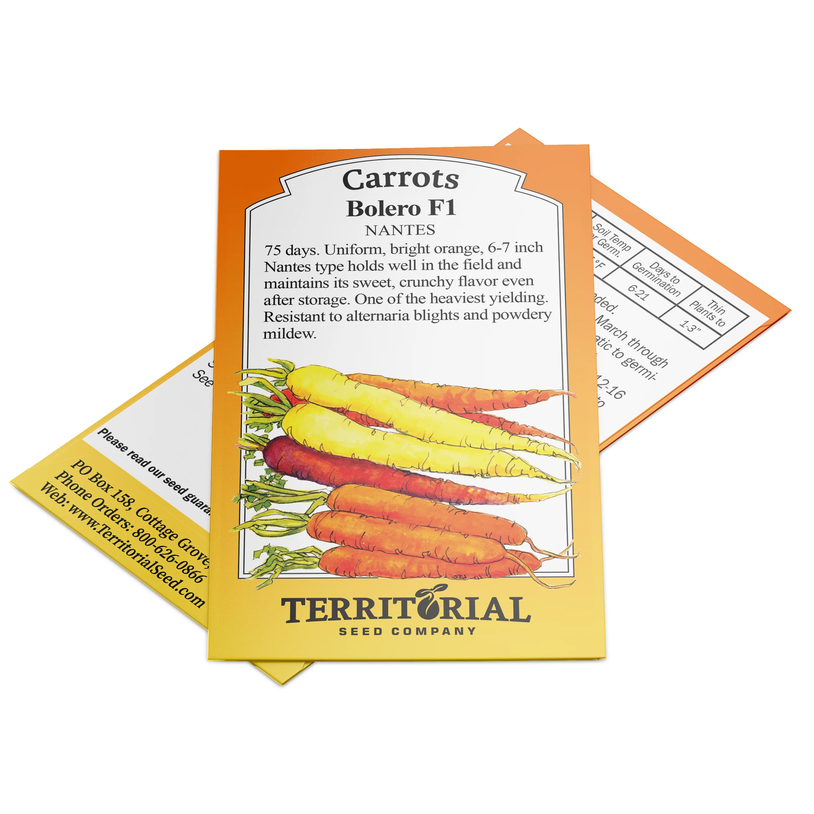 Bolero Carrot - Image 3