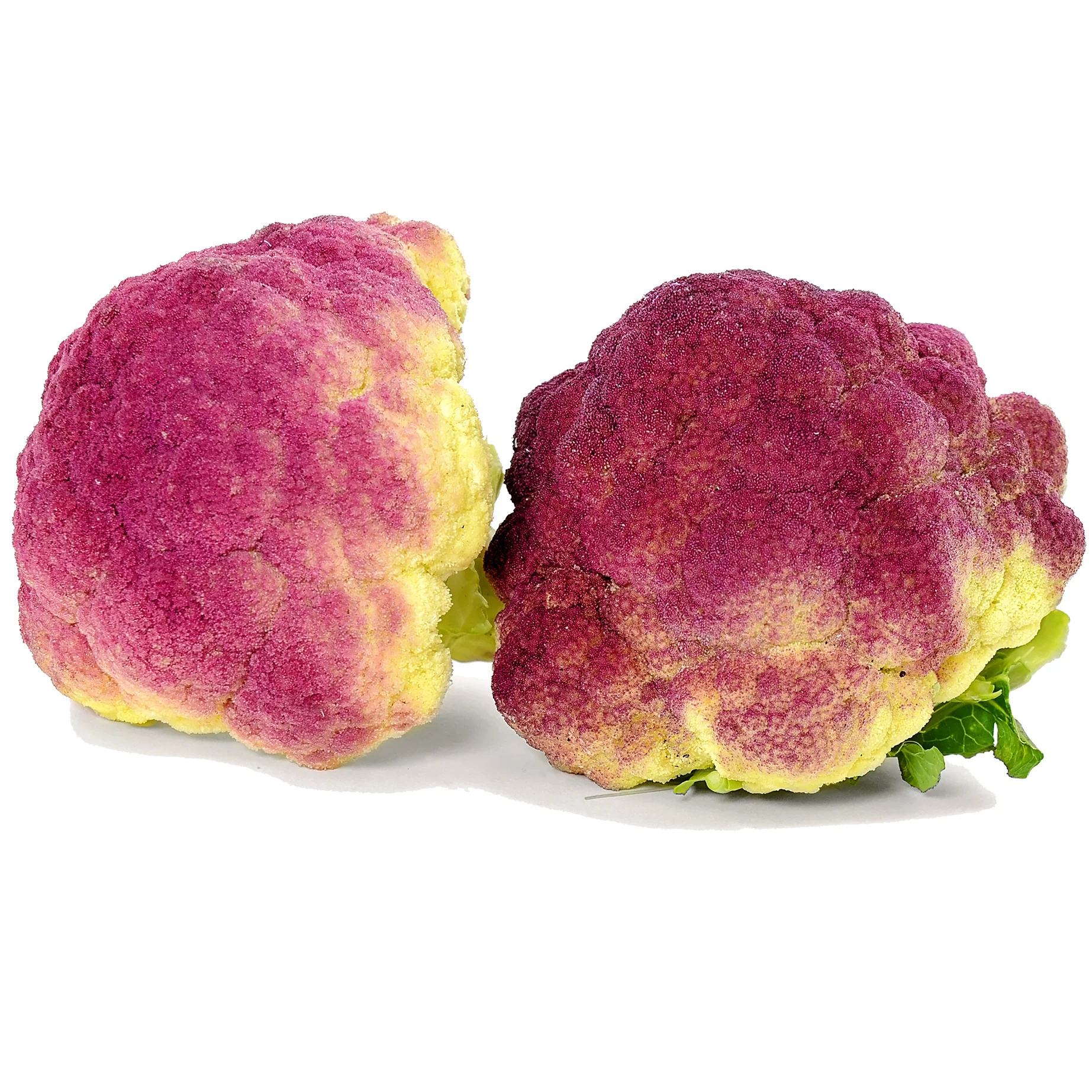 Purple Of Sicily Cauliflower - Image 2