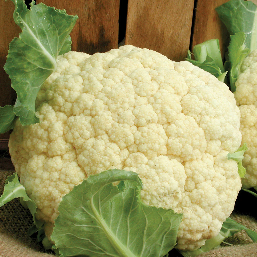 Snow Crown Cauliflower - Image 4