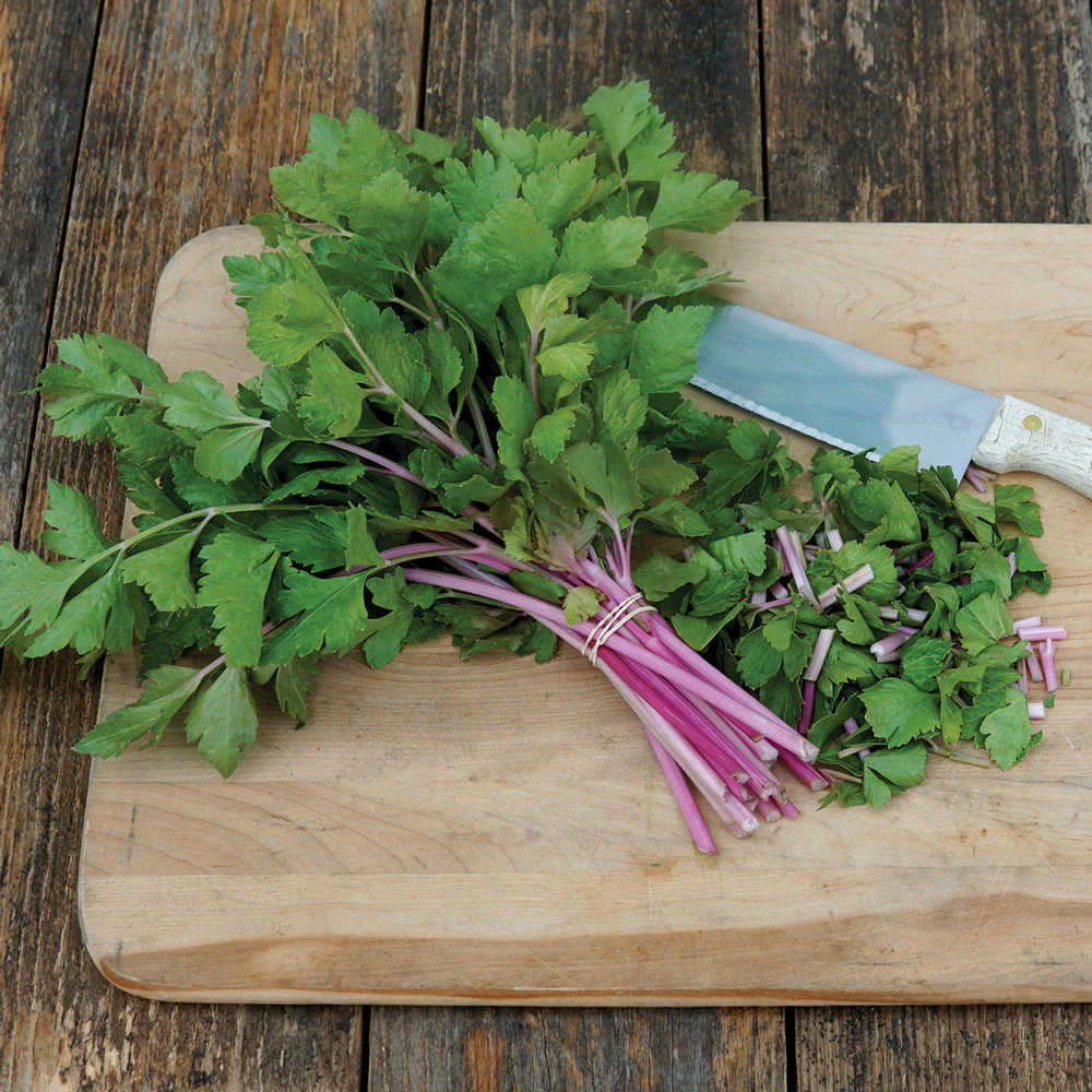 Chinese Pink Celery