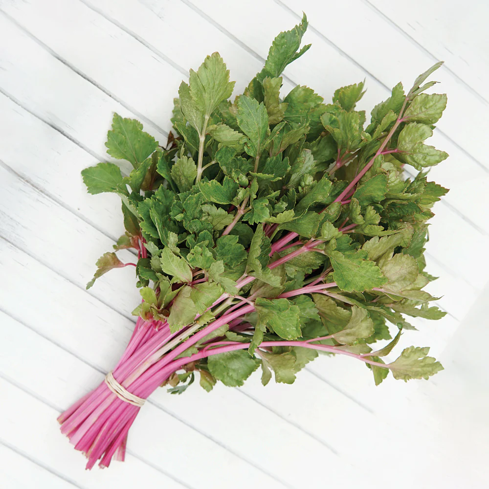Chinese Pink Celery - Image 2