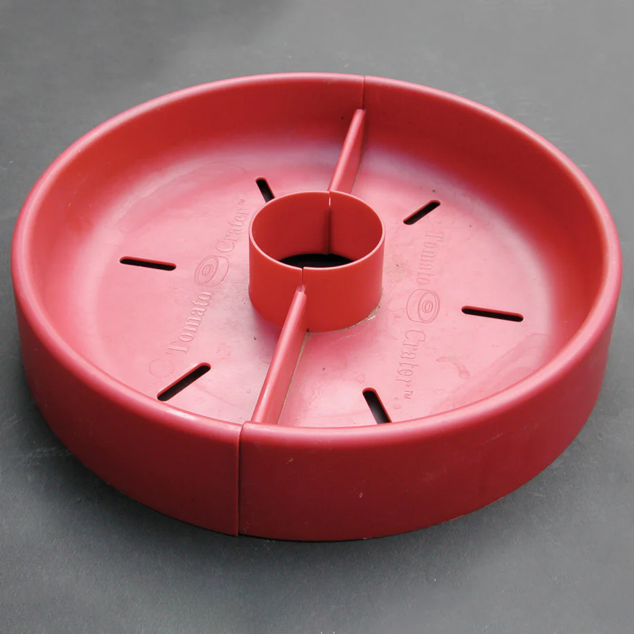 Tomato Crater Cloche