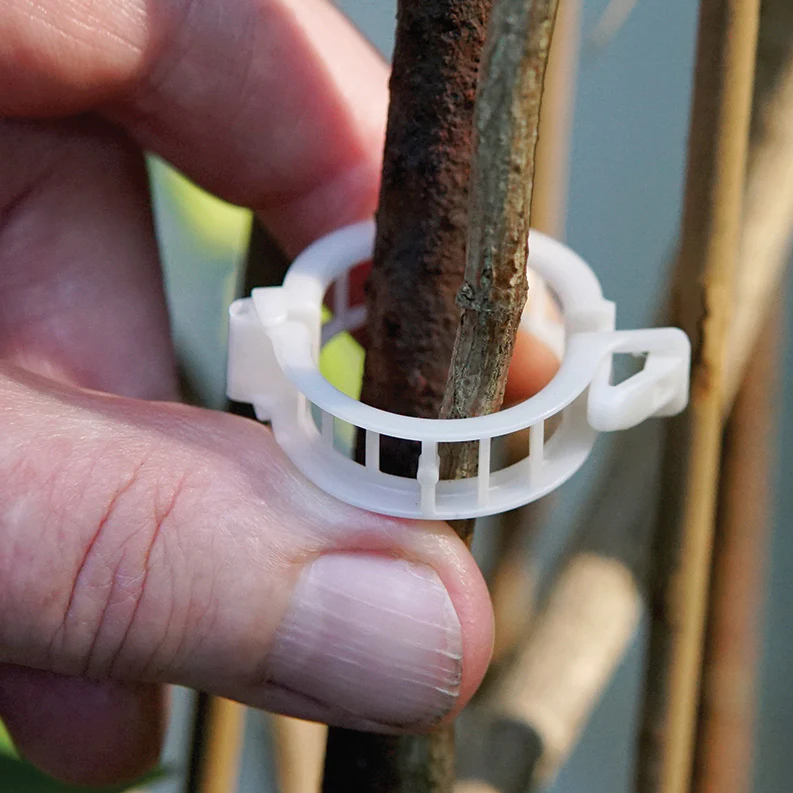 Compostable Trellis Clips