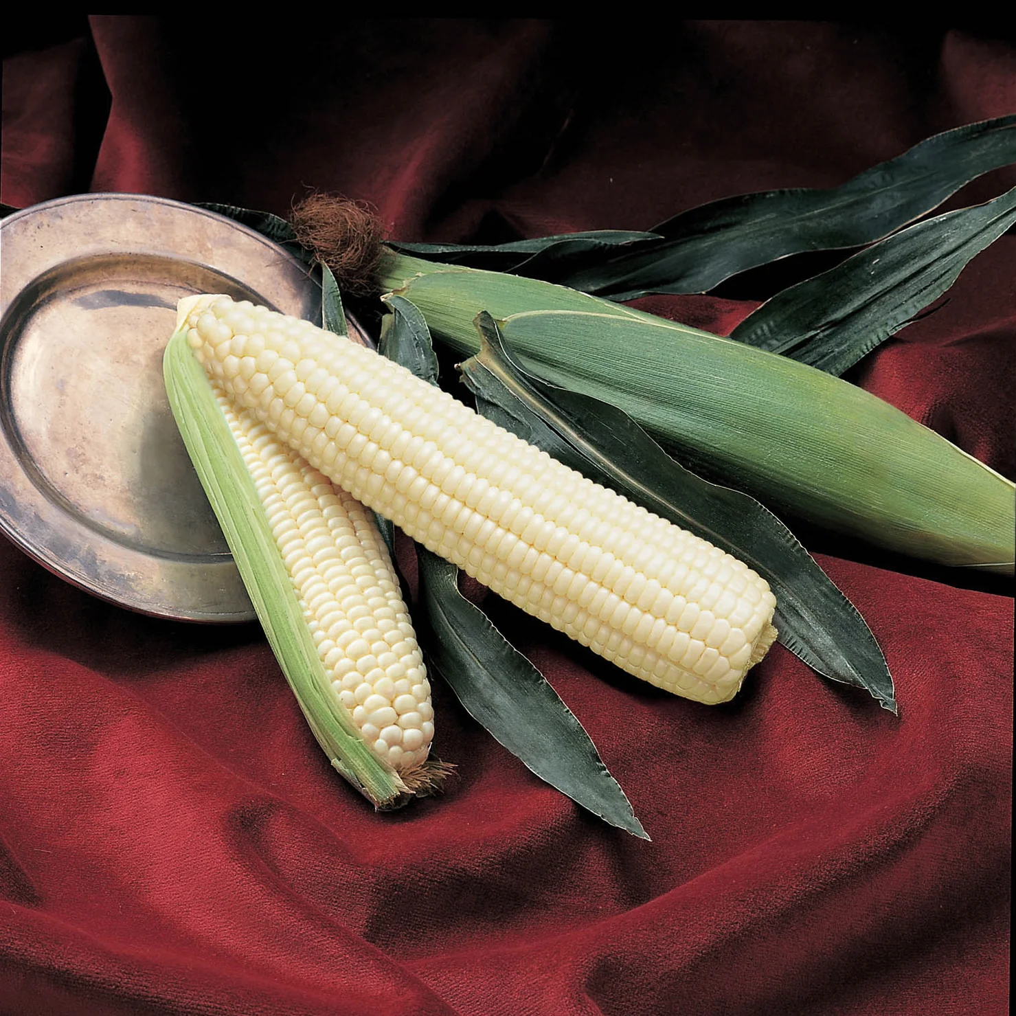 Silver Queen Corn - Image 2