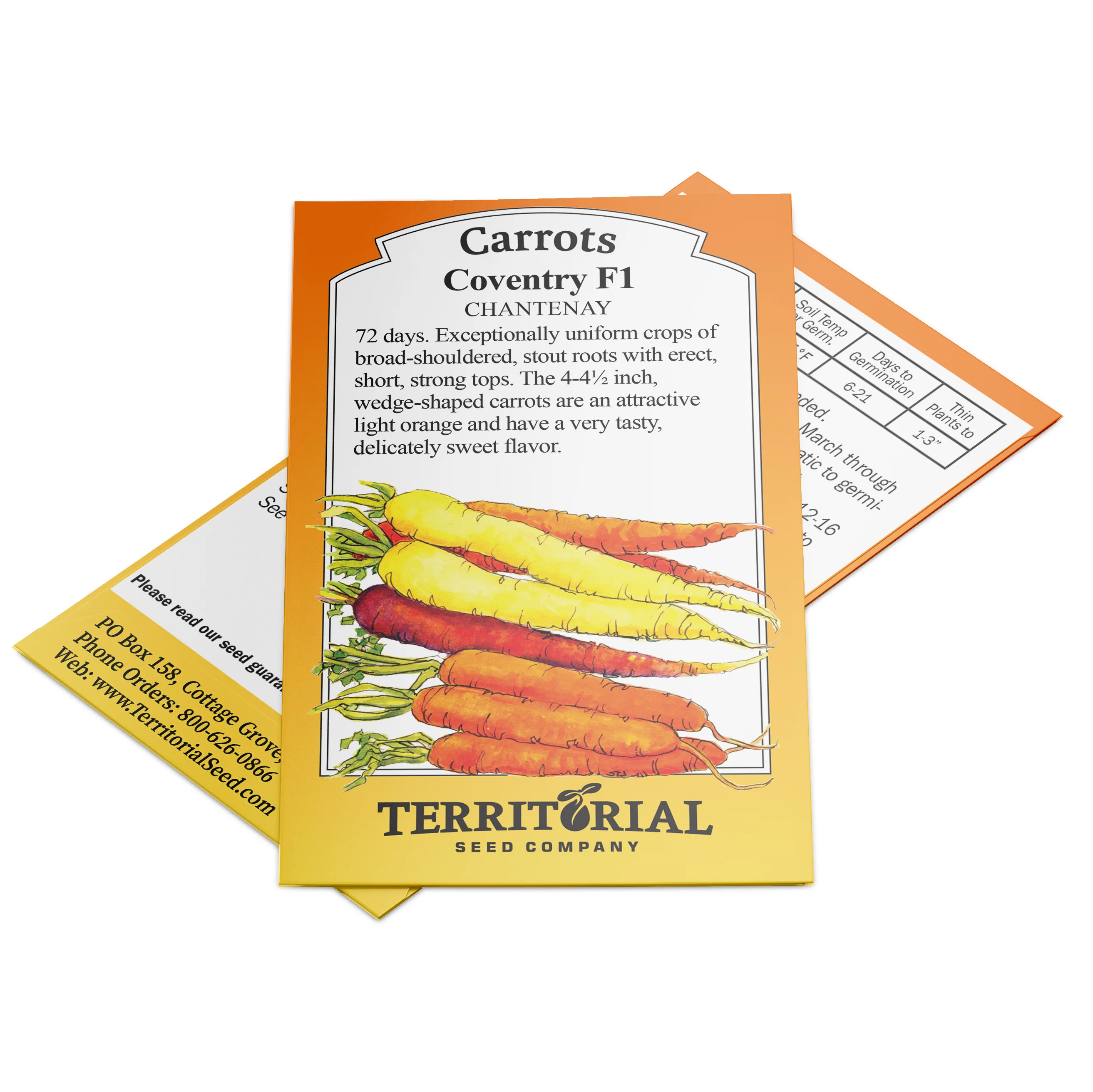 Coventry Carrot - Image 3