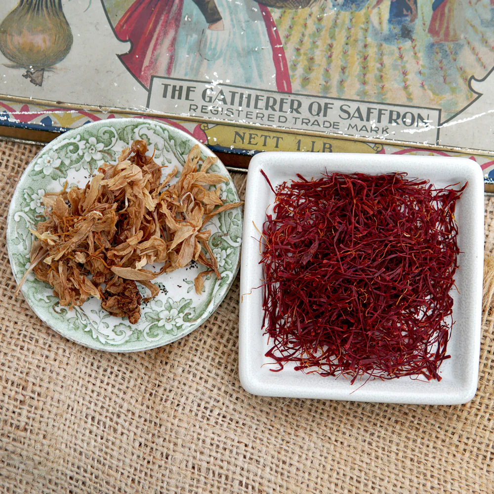 Saffron Crocus - Image 2