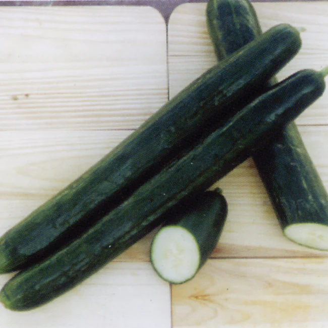 Pepinex Cucumber - Image 2