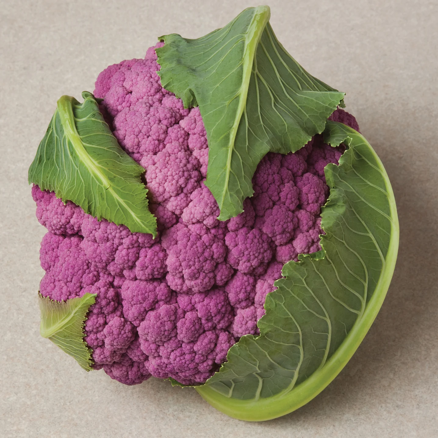 Depurple Cauliflower - Image 3