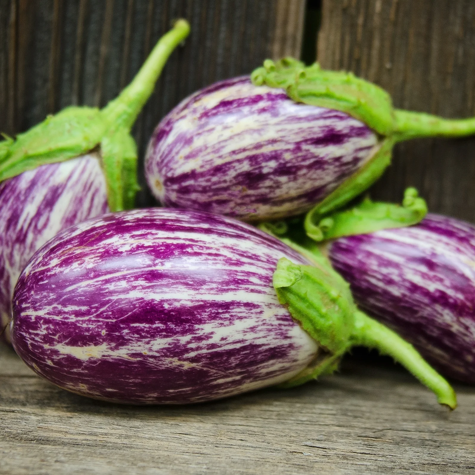 Listada De Gandia Eggplant - Image 2