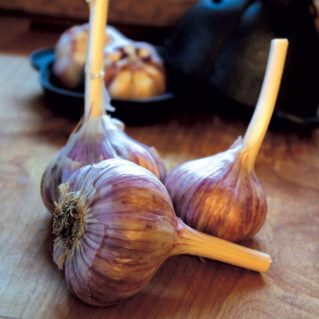 Duganski Garlic - Image 2