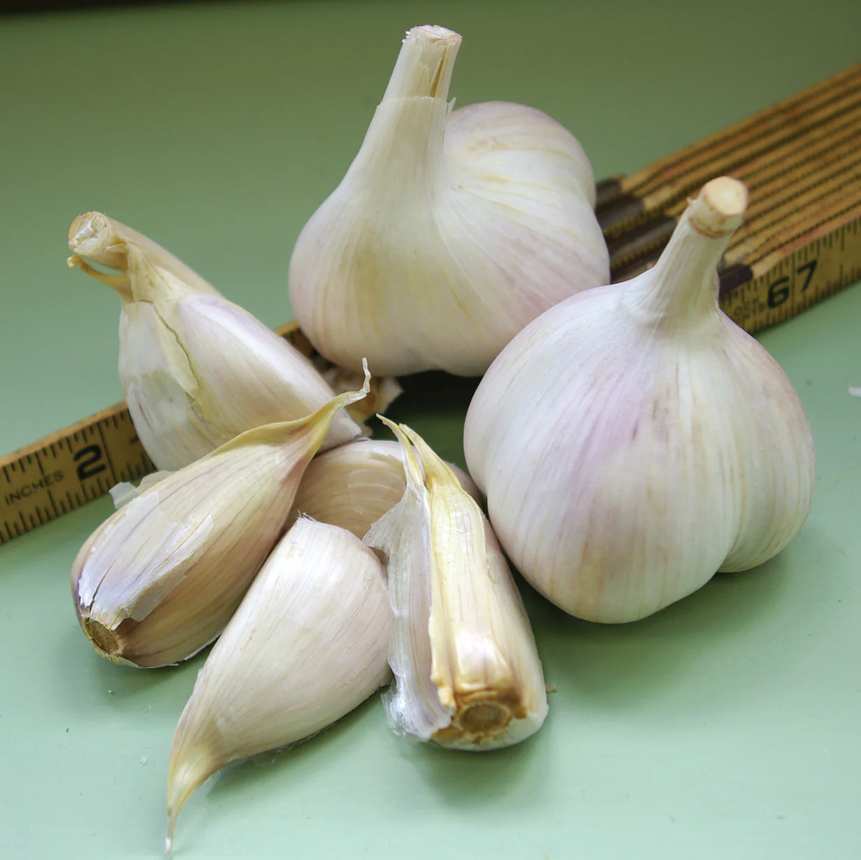 Metechi Garlic - Image 2