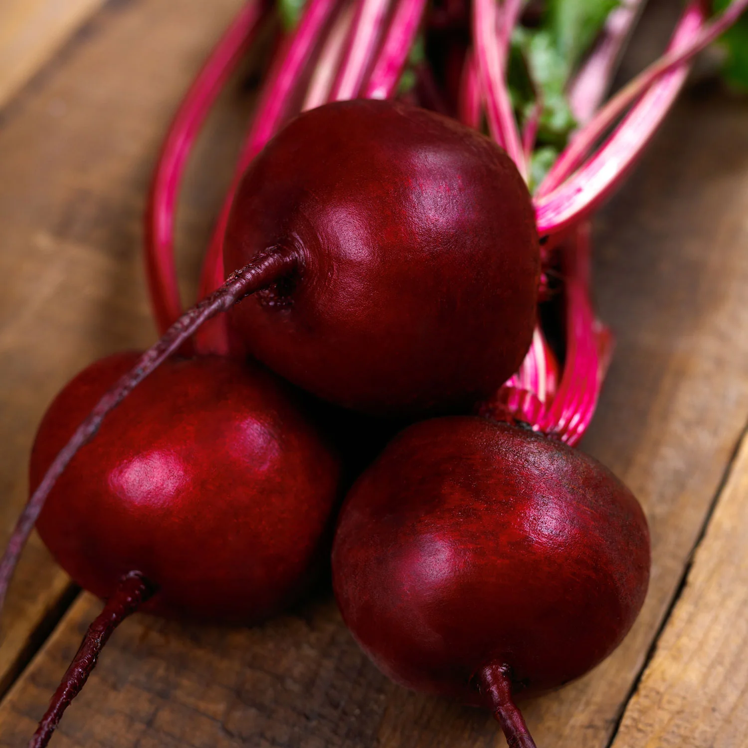 Gemini Beet - Image 4