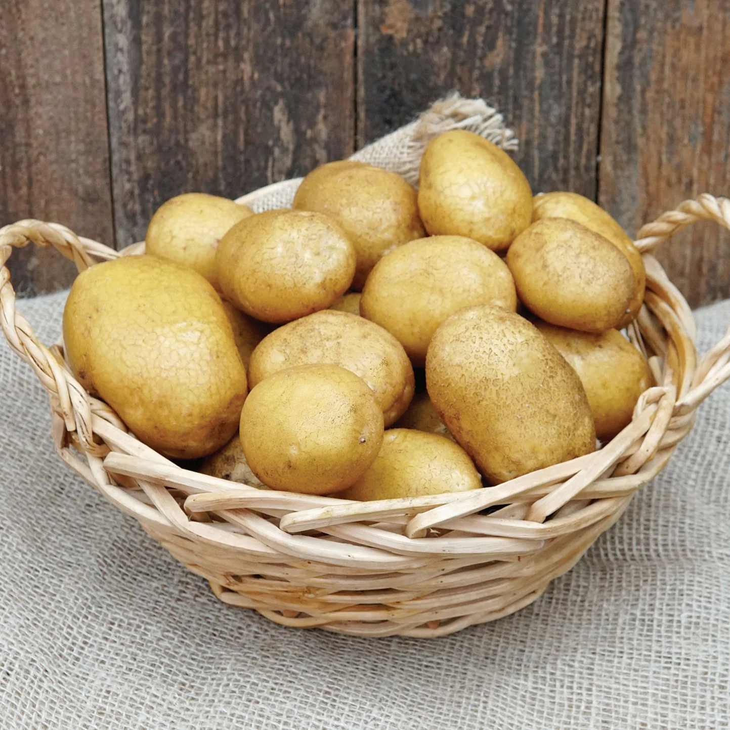 German Butterball Potato