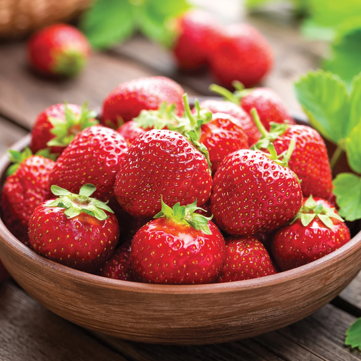 Honeoye Strawberry Bare Root