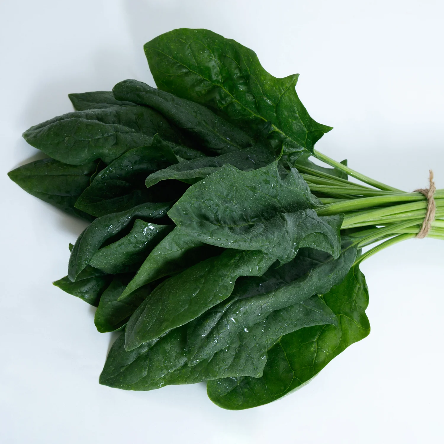 Imperial Valley Spinach - Image 2