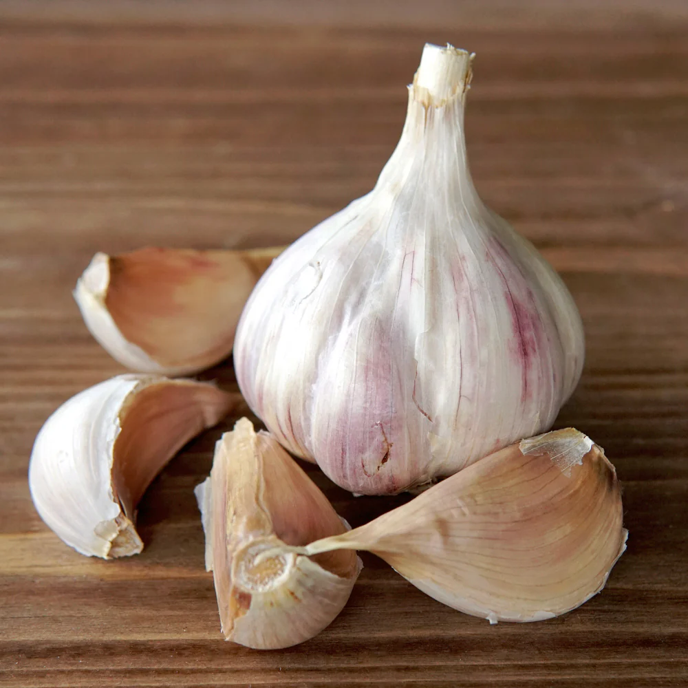 Ivan Garlic - Image 2