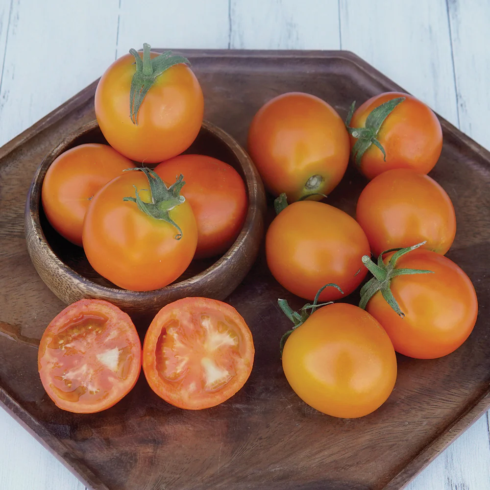 Jaune Flamme Tomato