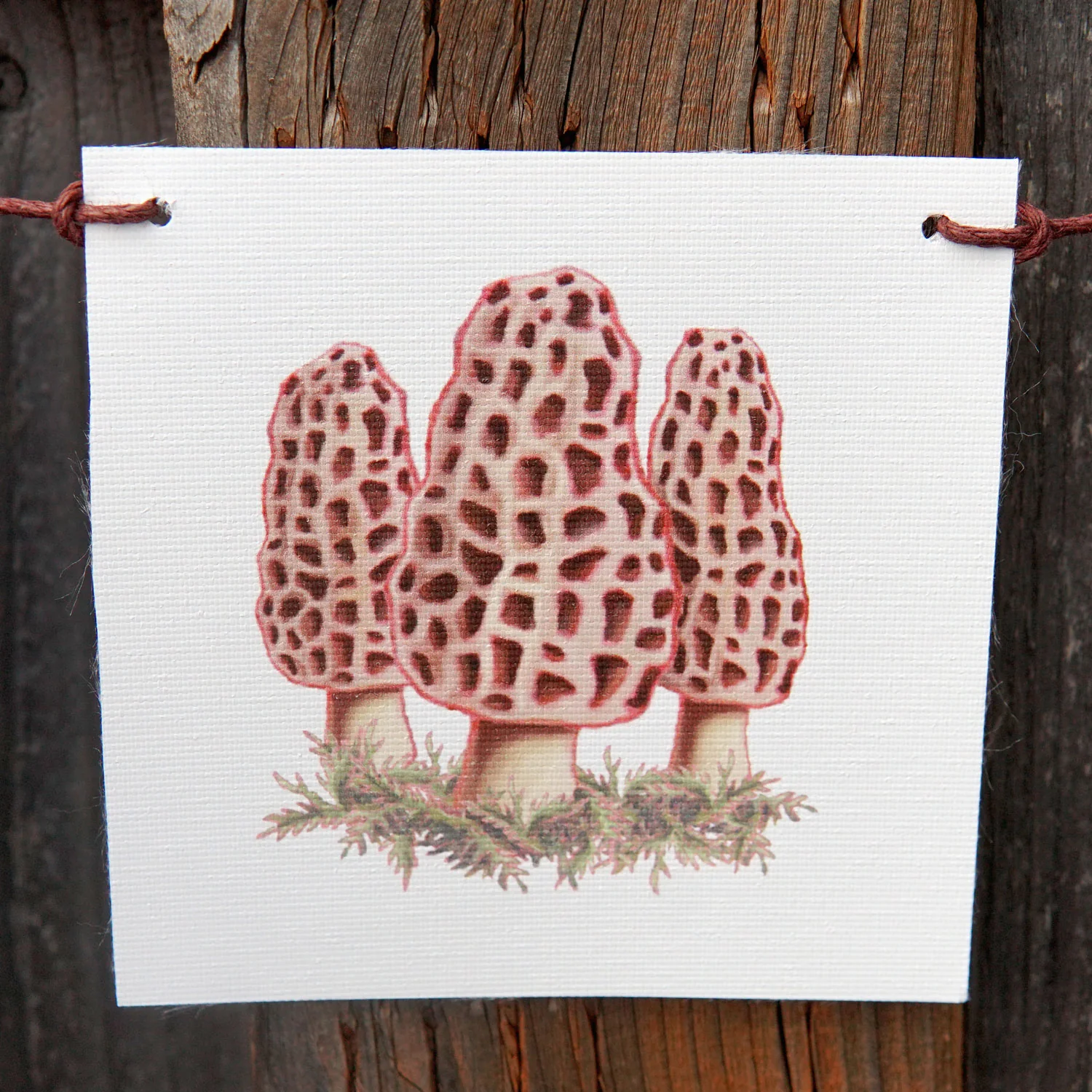 Mushroom Flags Decorative Accessory - Image 5