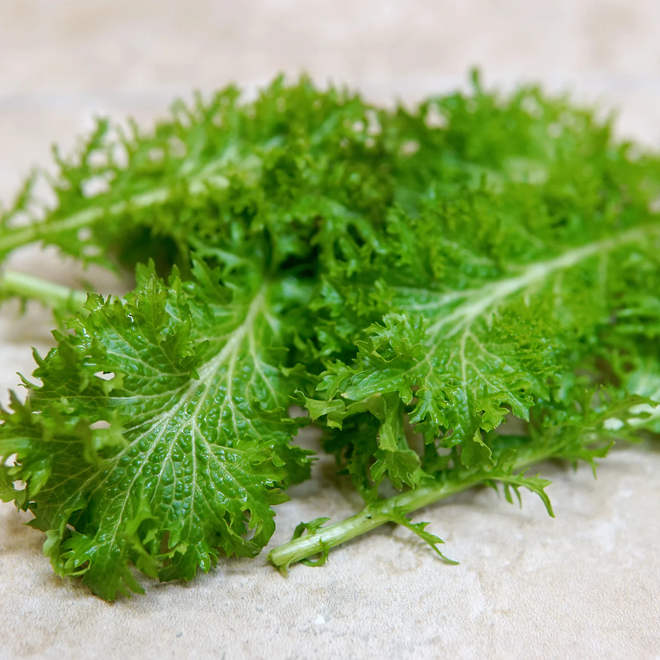 Wasabina Mustard - Image 3