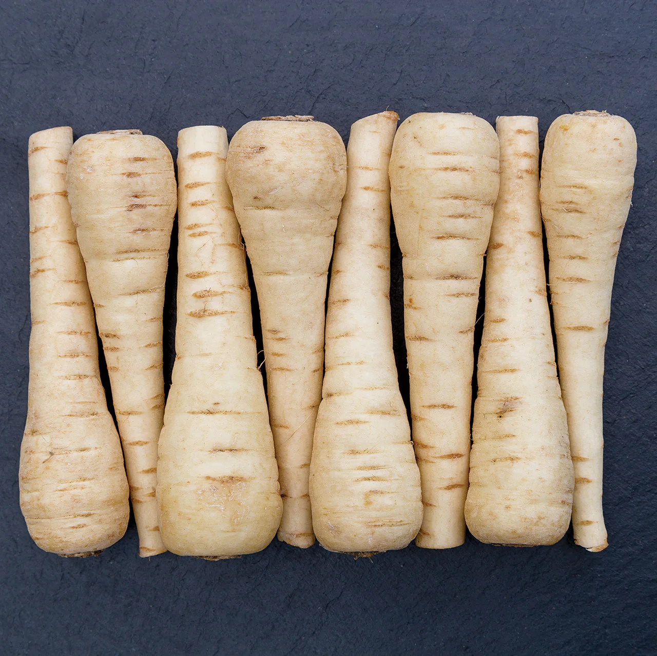 Warrior Parsnip