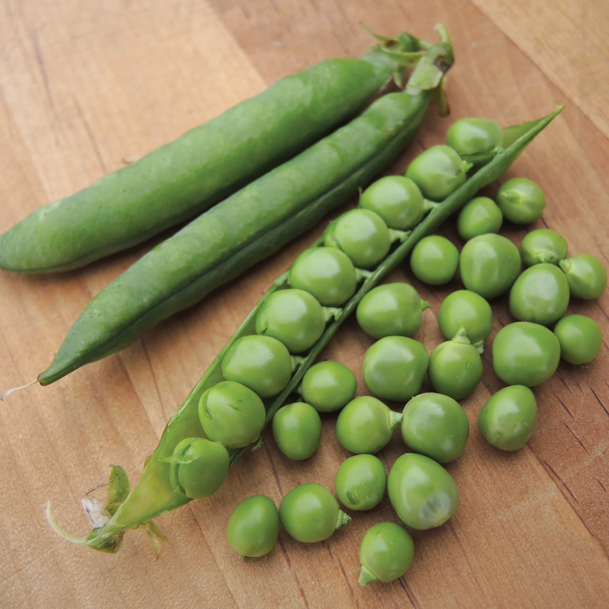 Green Arrow Pea