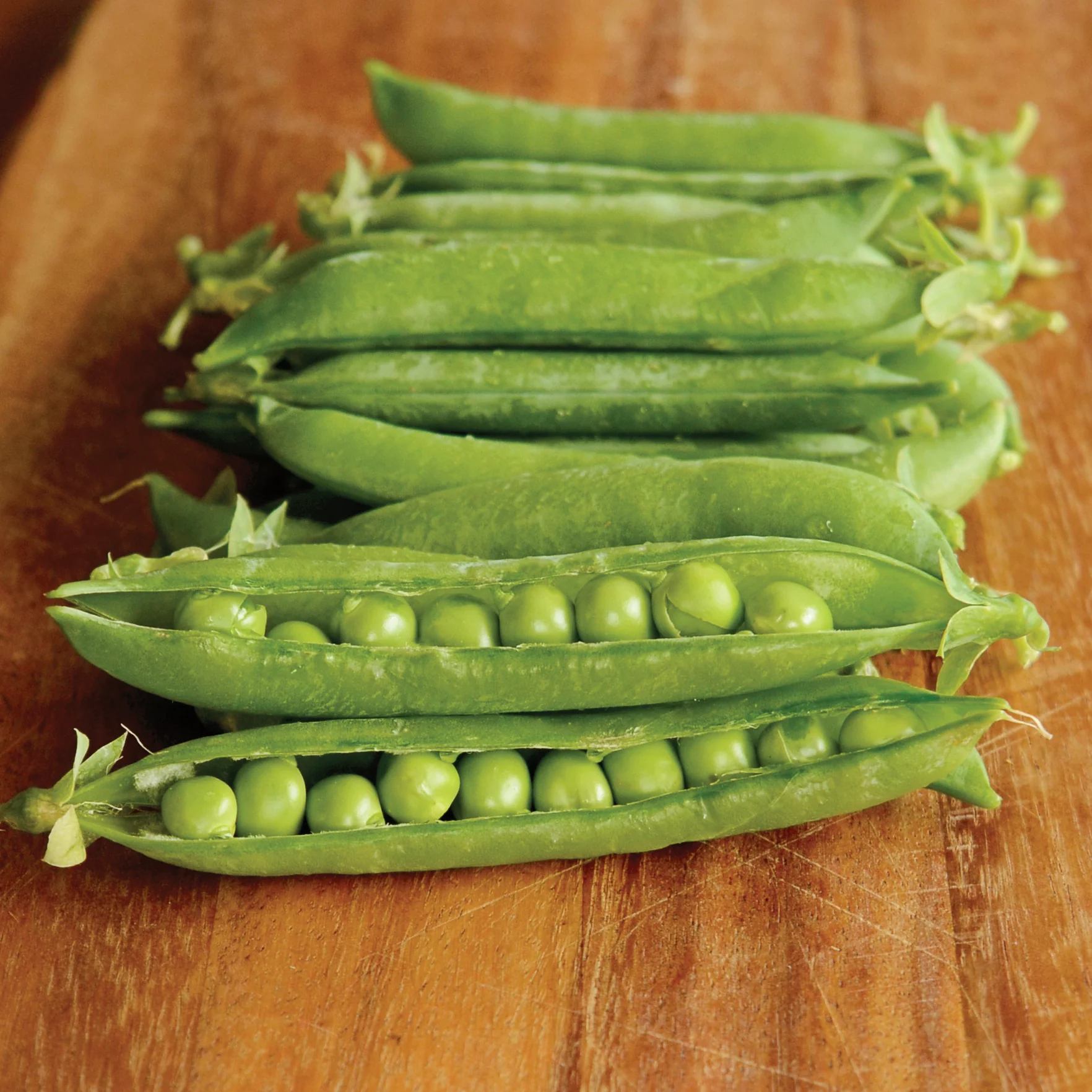 Maestro Pea