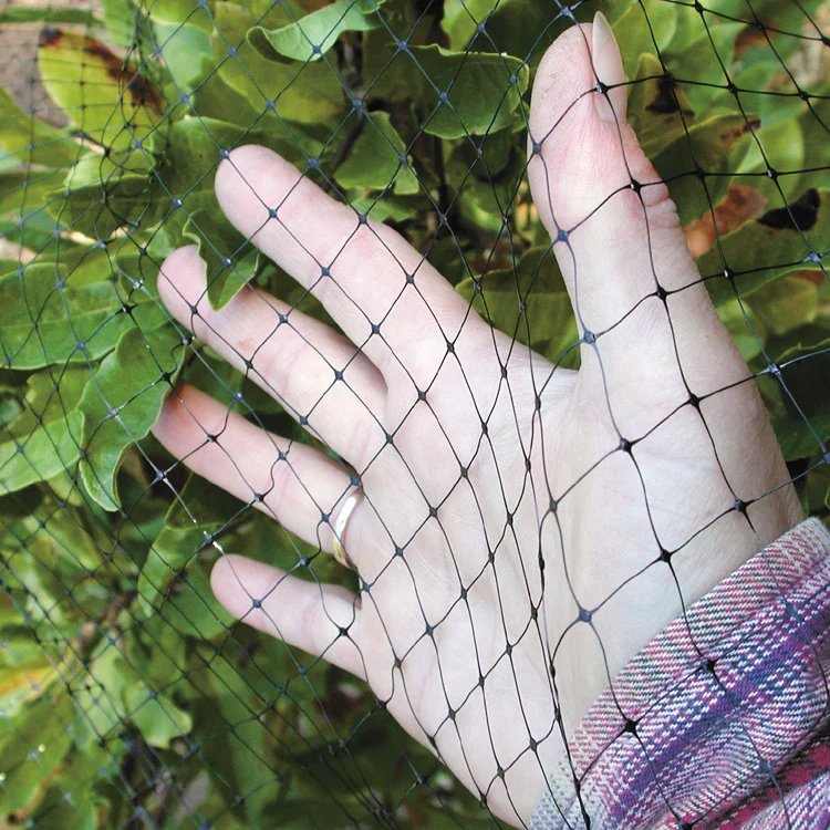 Birdblock Protective Netting