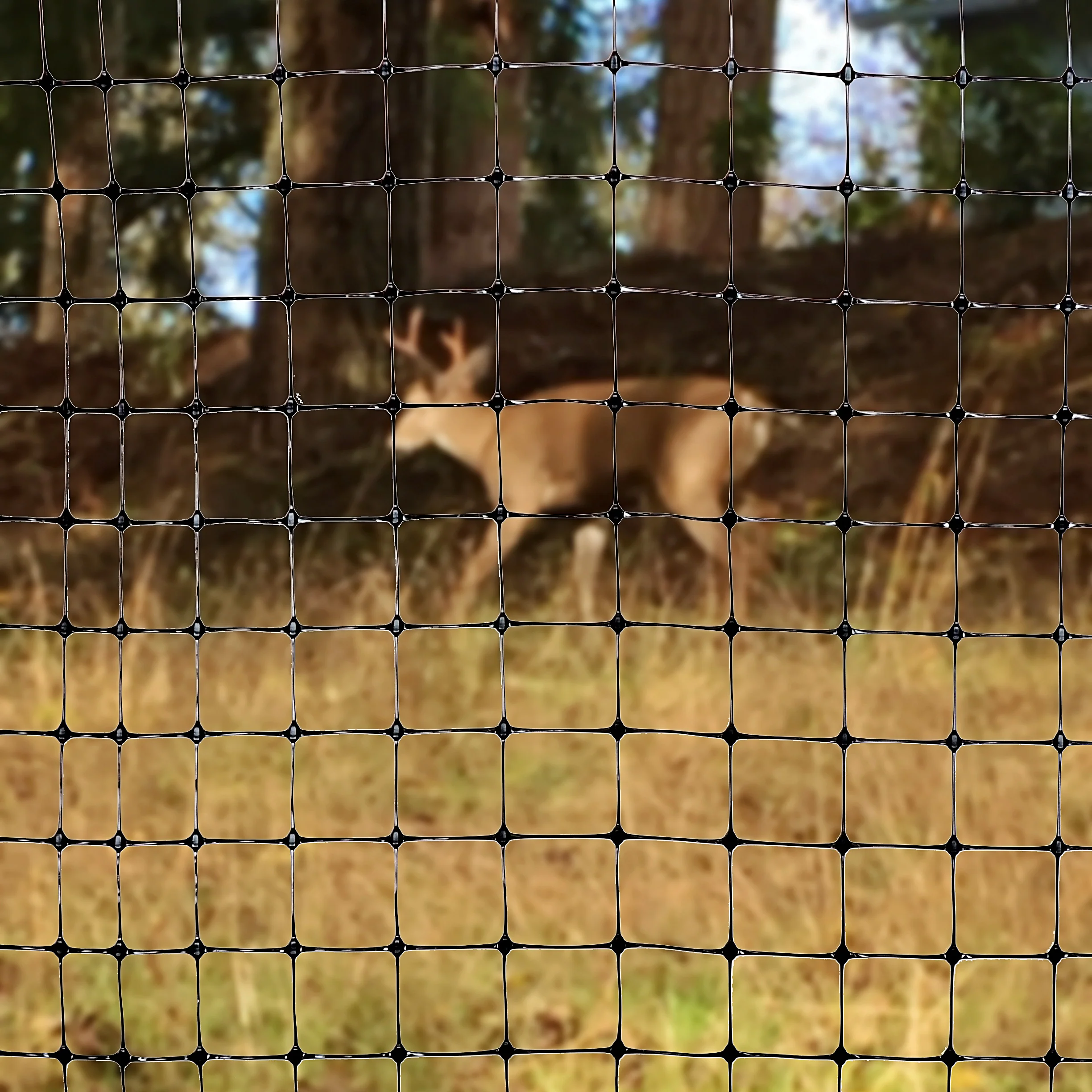 Deer Fencing