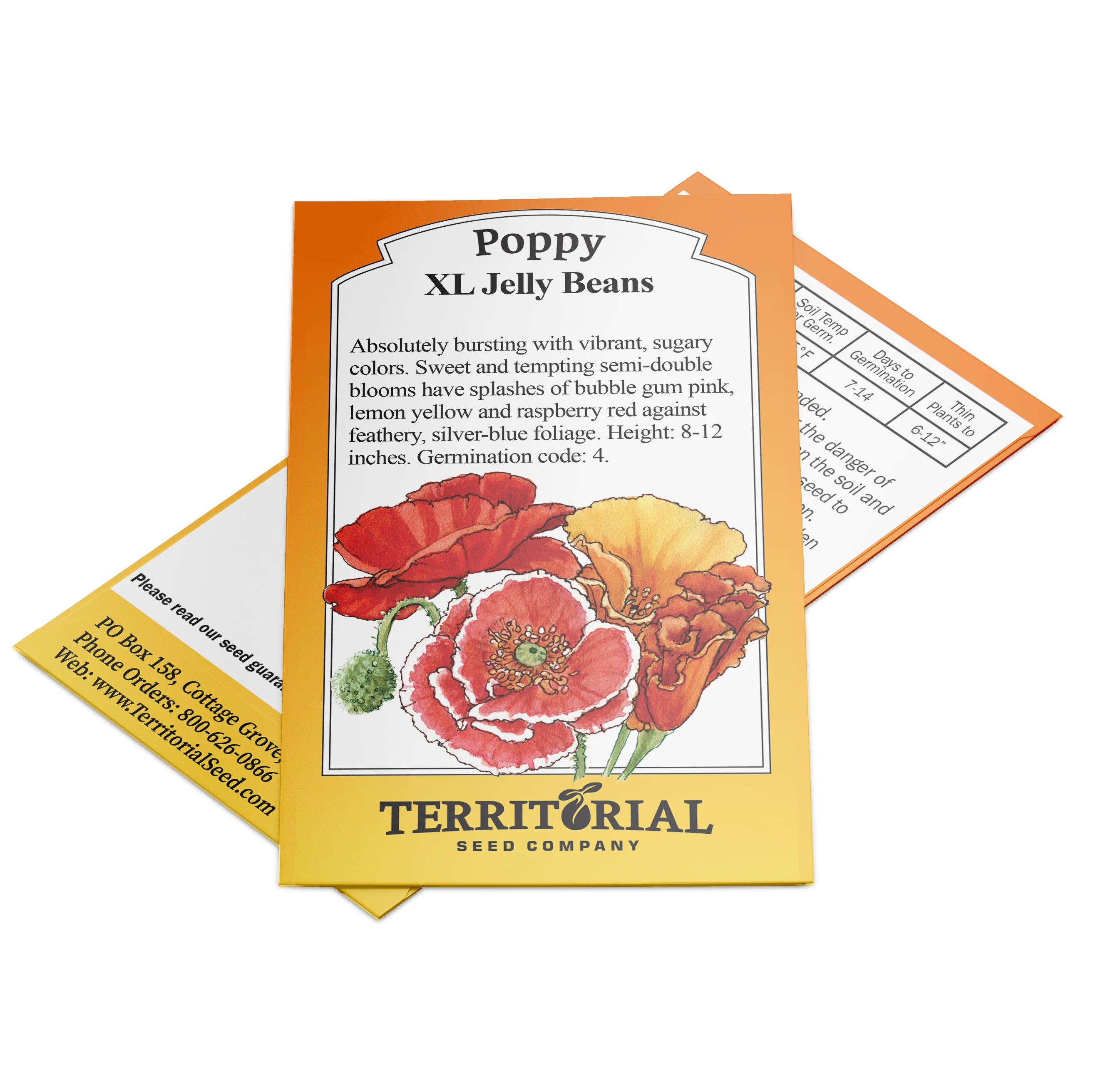 XL Jelly Beans Poppy - Image 3