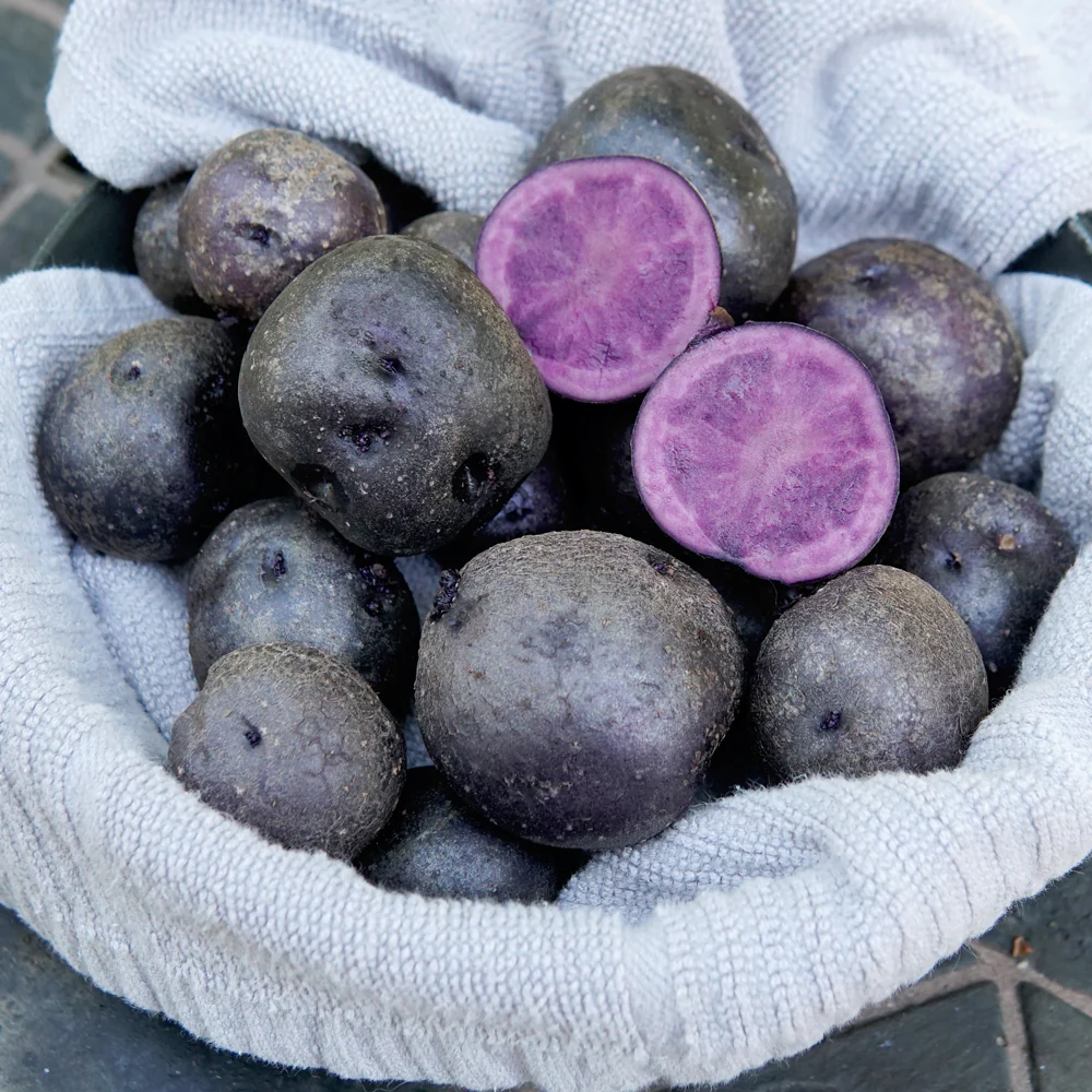 Blackberry Potato