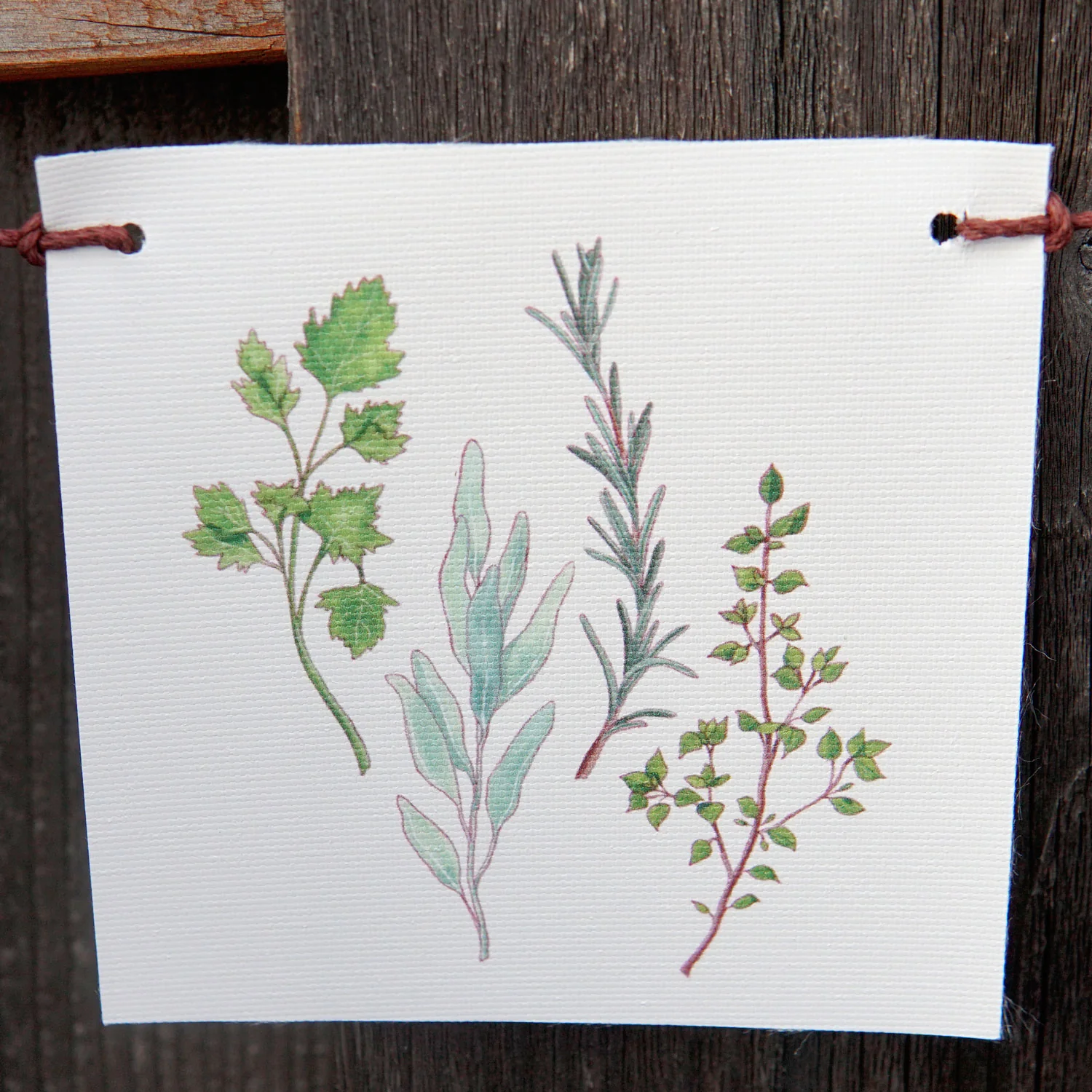 Produce Flags Decorative Accessory - Image 3