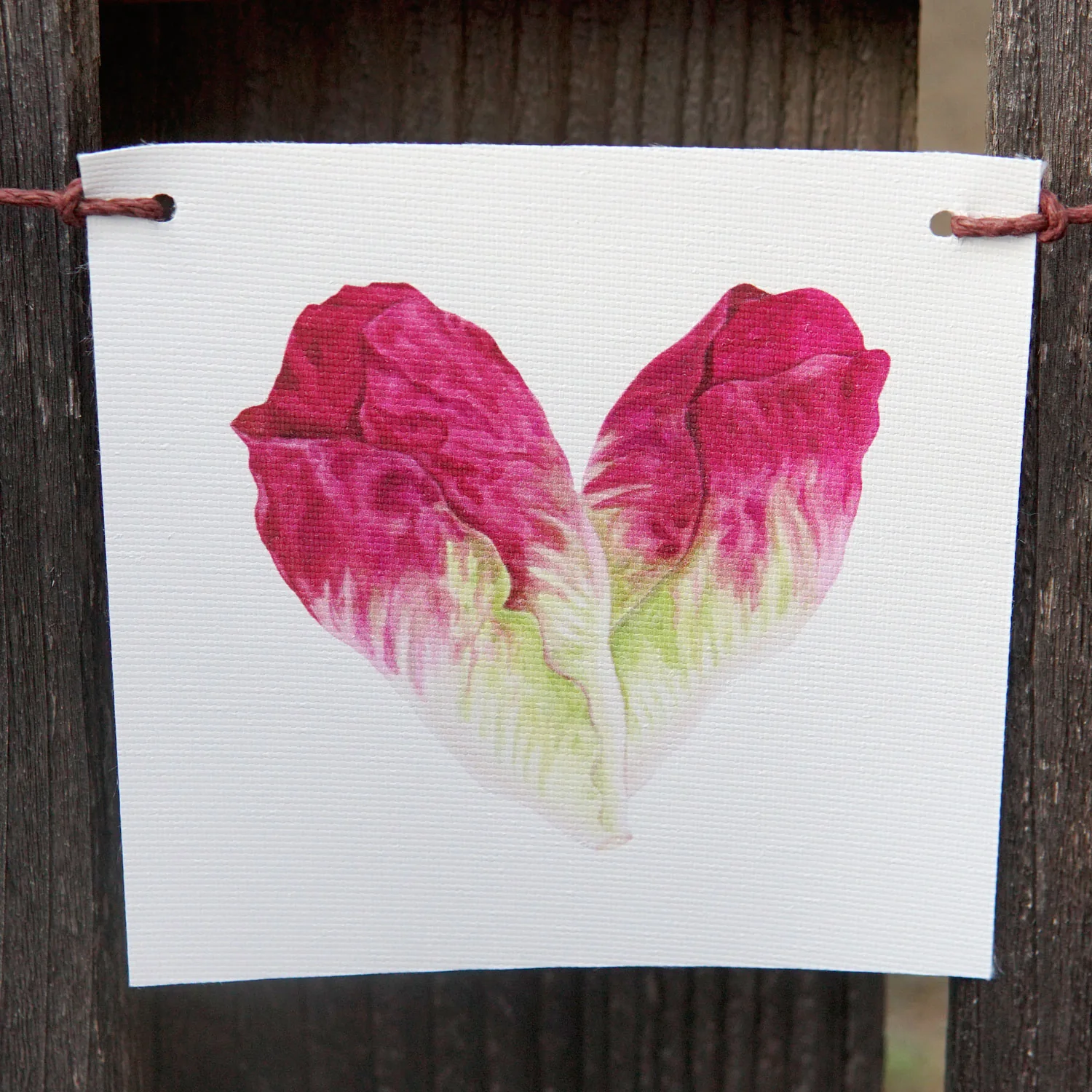 Produce Flags Decorative Accessory - Image 4