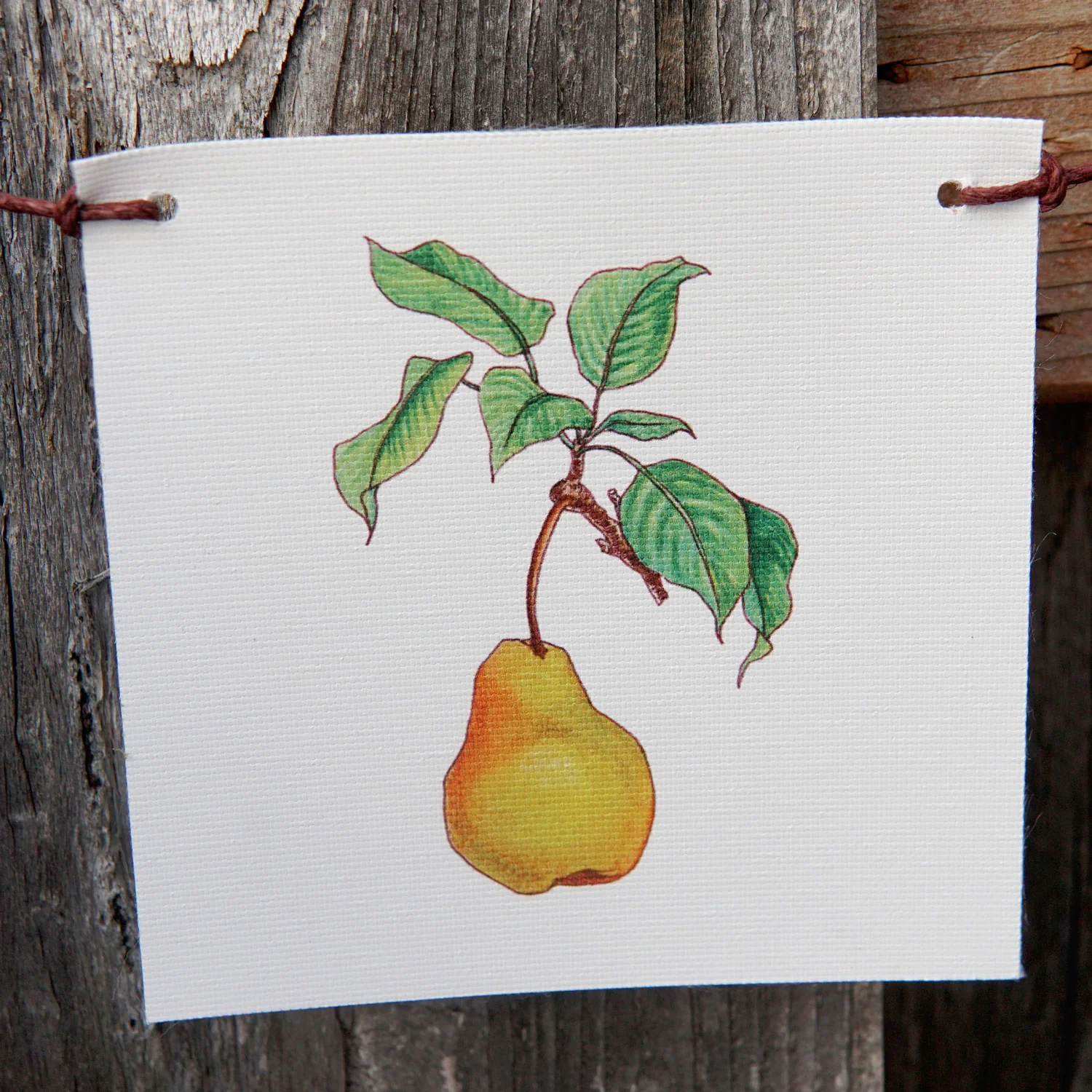 Produce Flags Decorative Accessory - Image 6