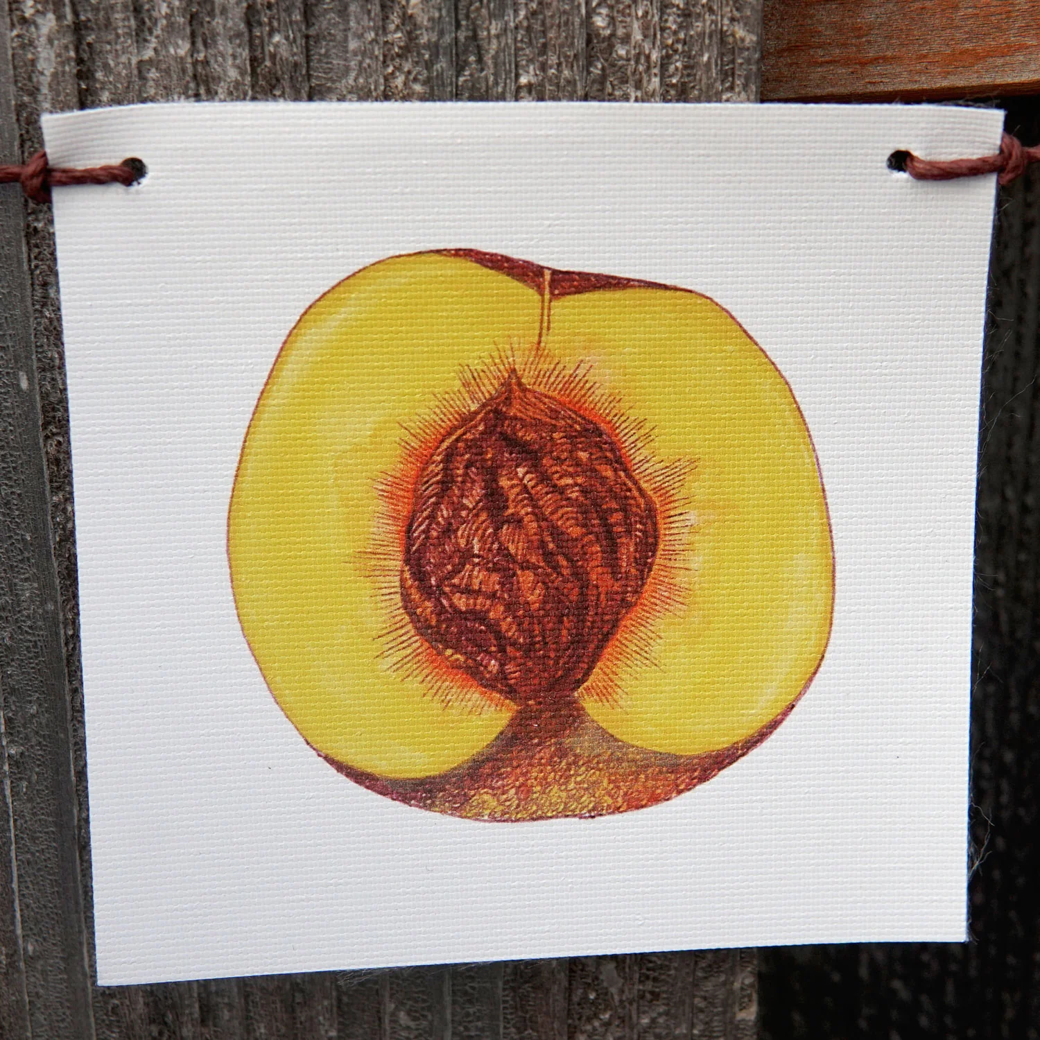 Produce Flags Decorative Accessory - Image 8