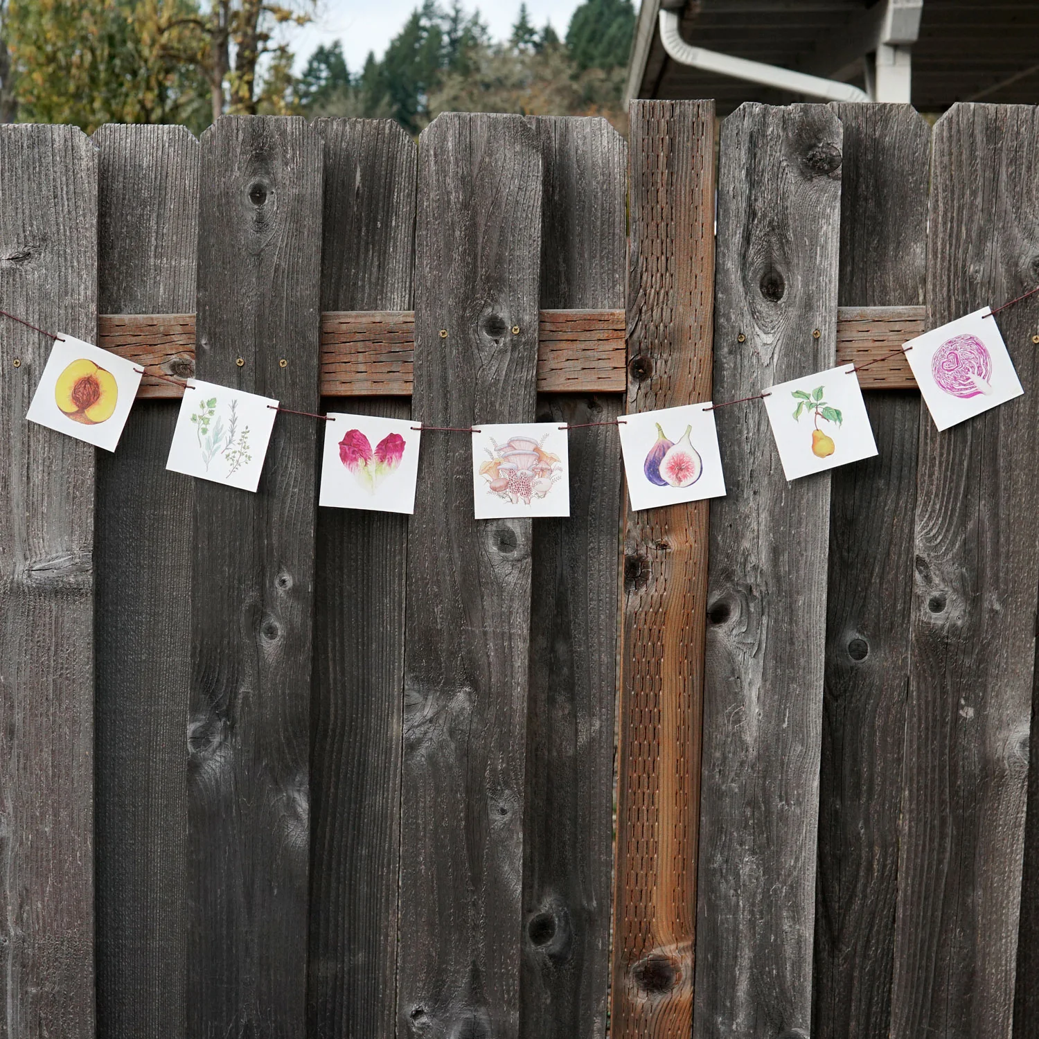 Produce Flags Decorative Accessory - Image 9