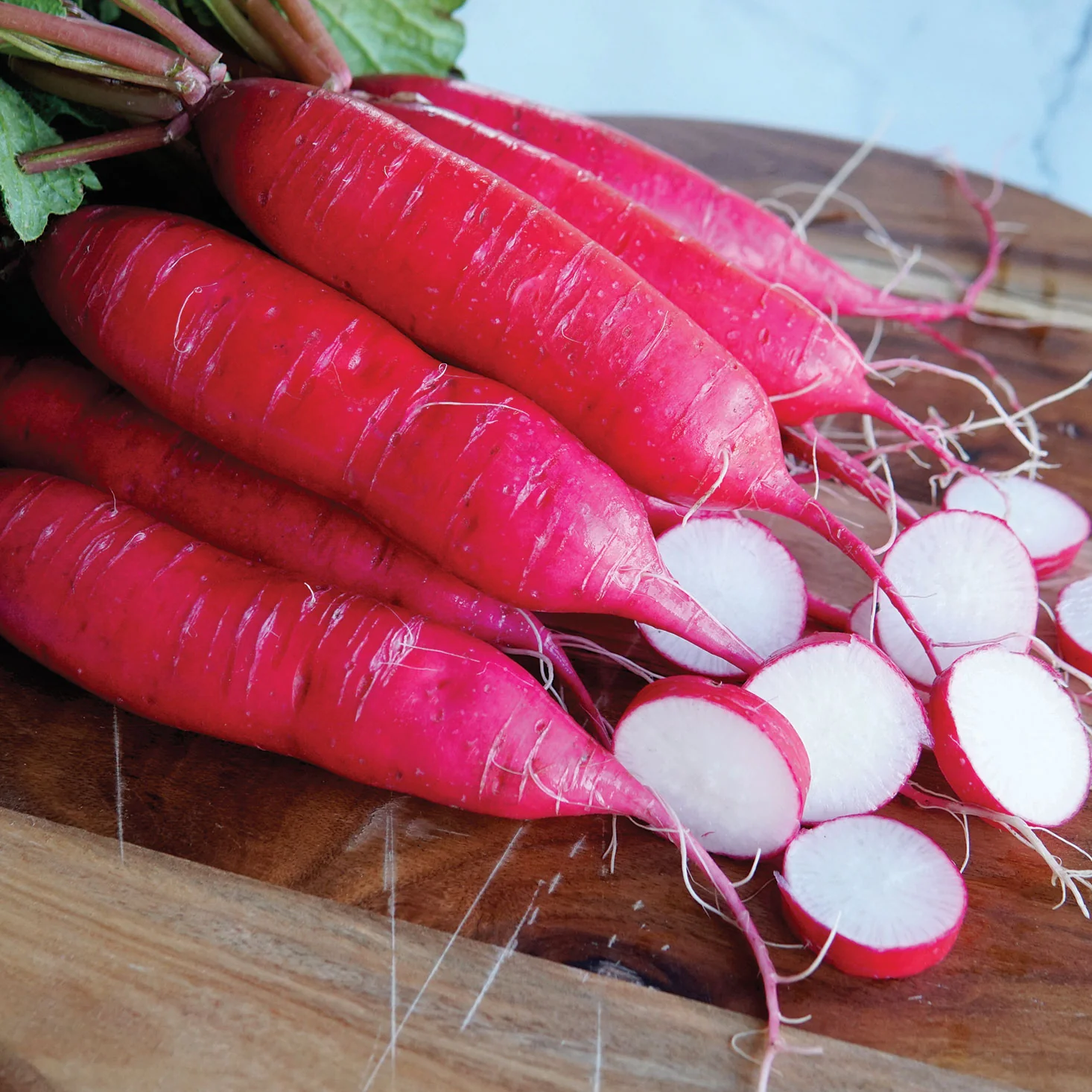 Dragon Radish - Image 3