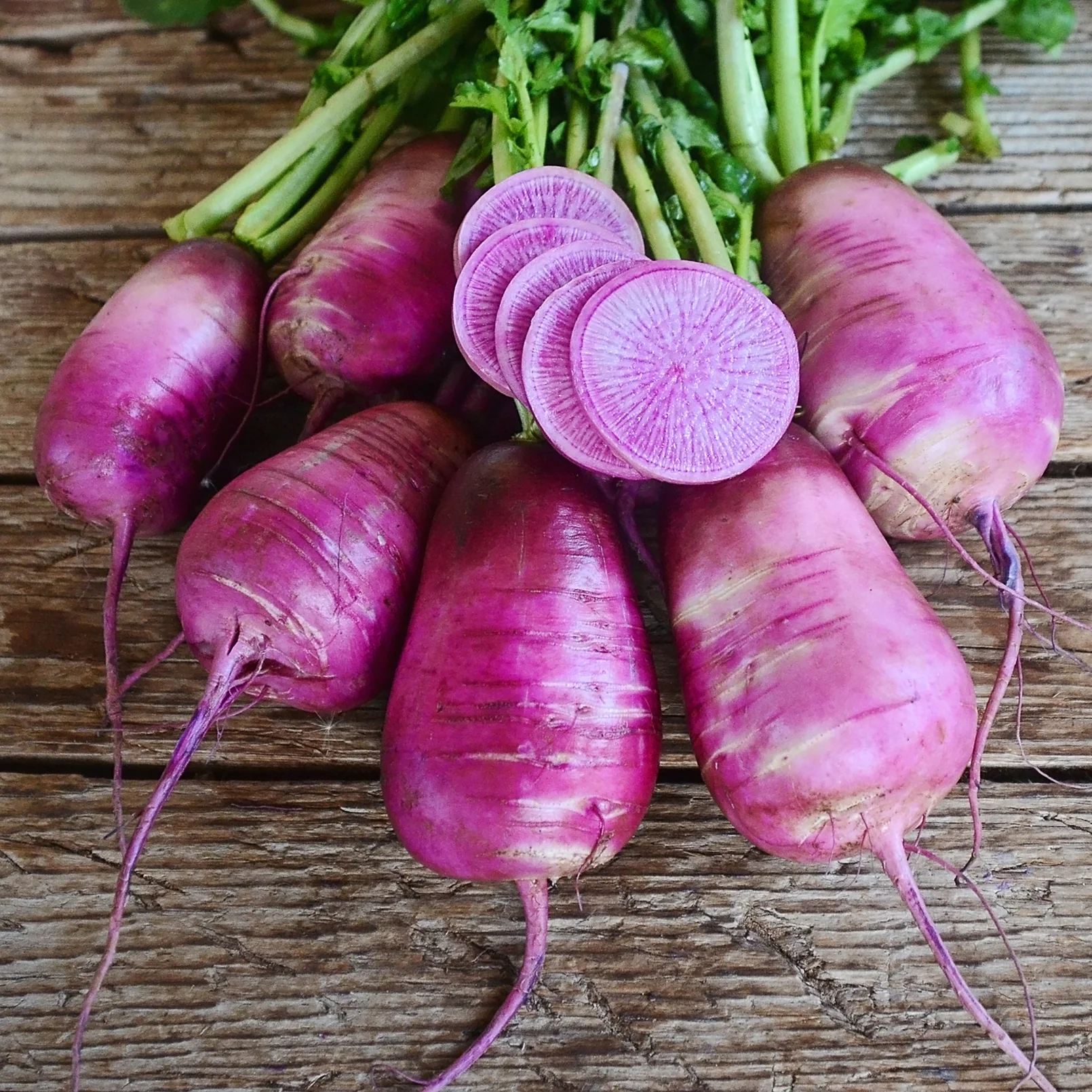 Sweet Baby Daikon Radish - Image 2