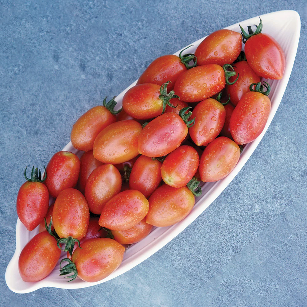 Raspberry Drop Tomato