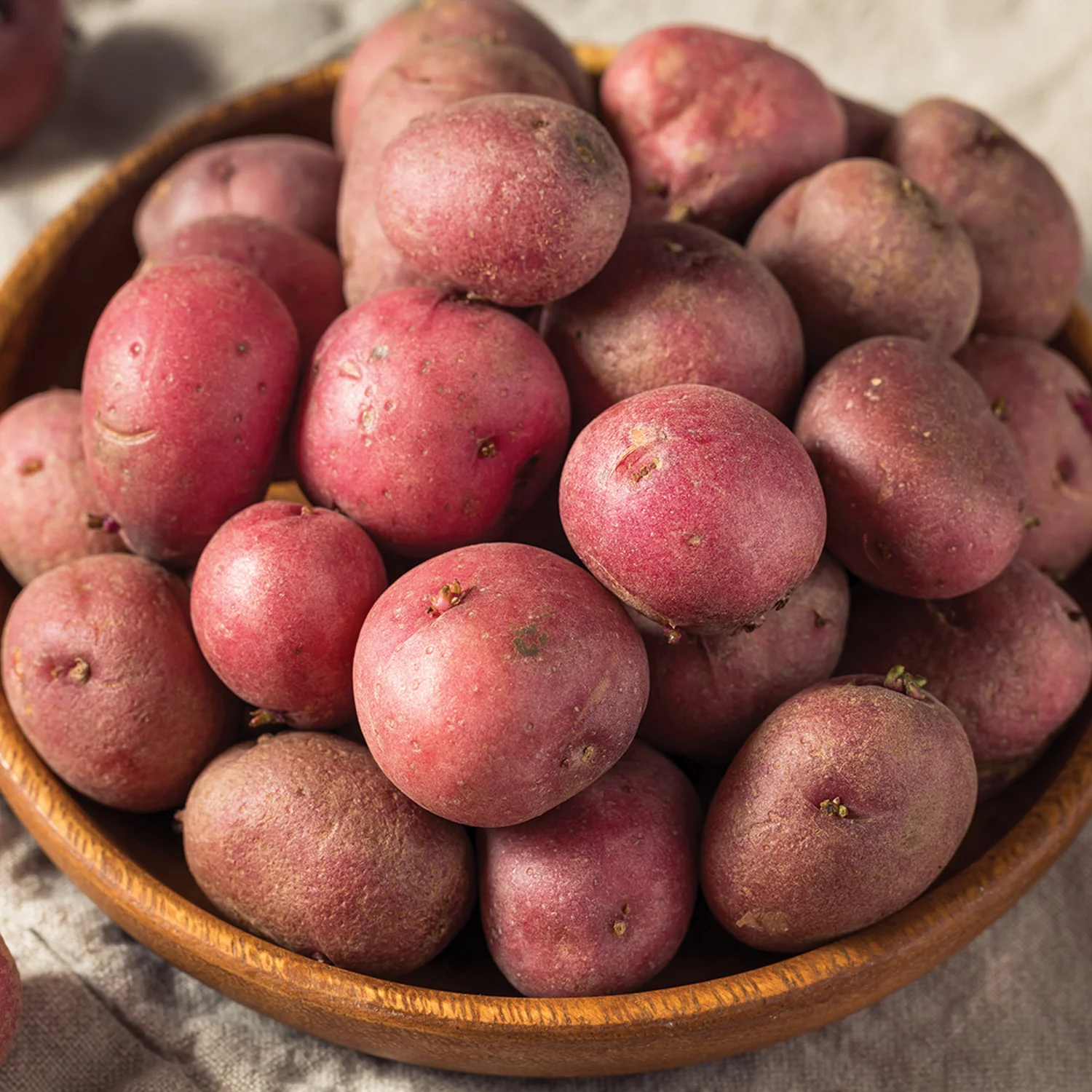 Red Pontiac Potato
