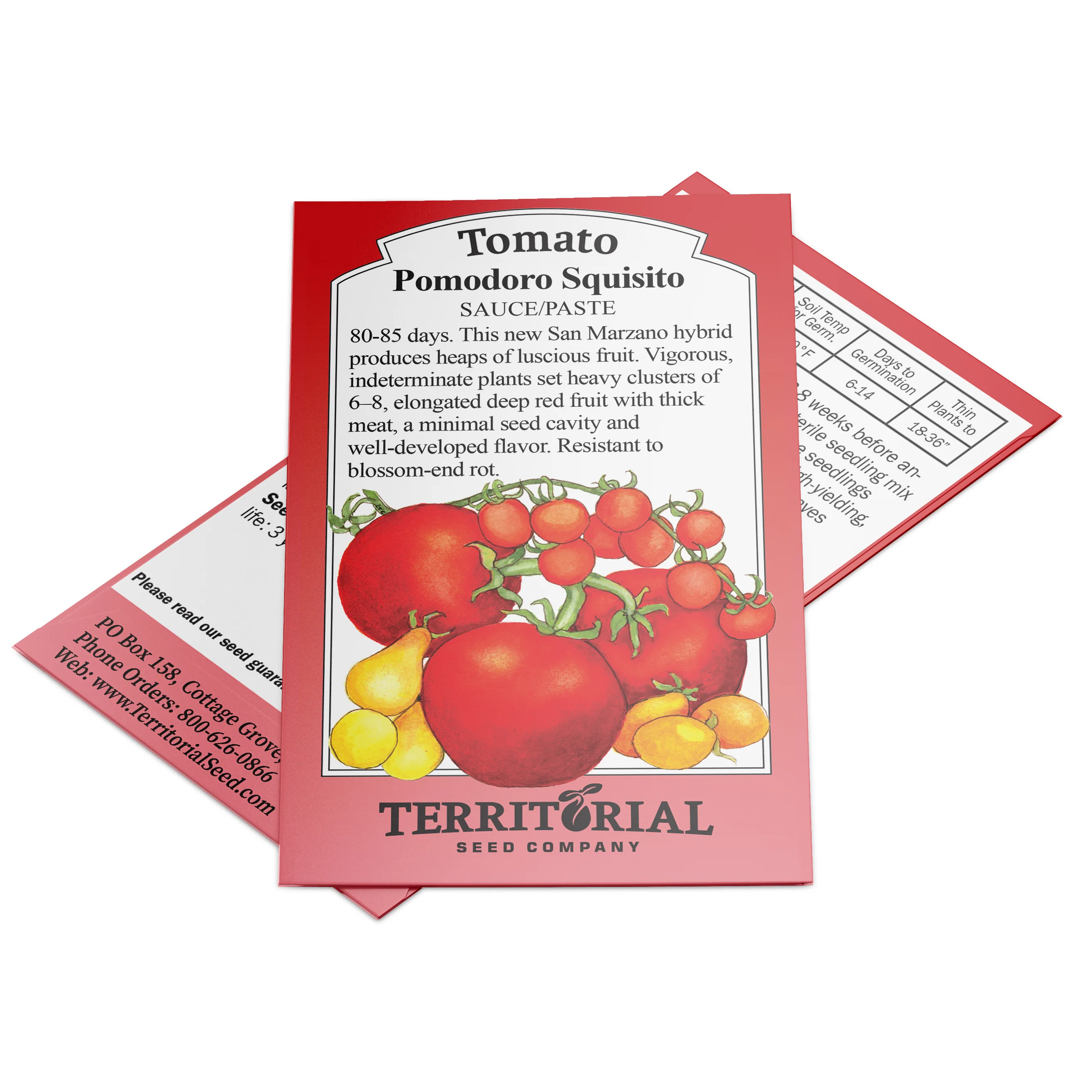 Pomodoro Squisito Tomato - Image 5