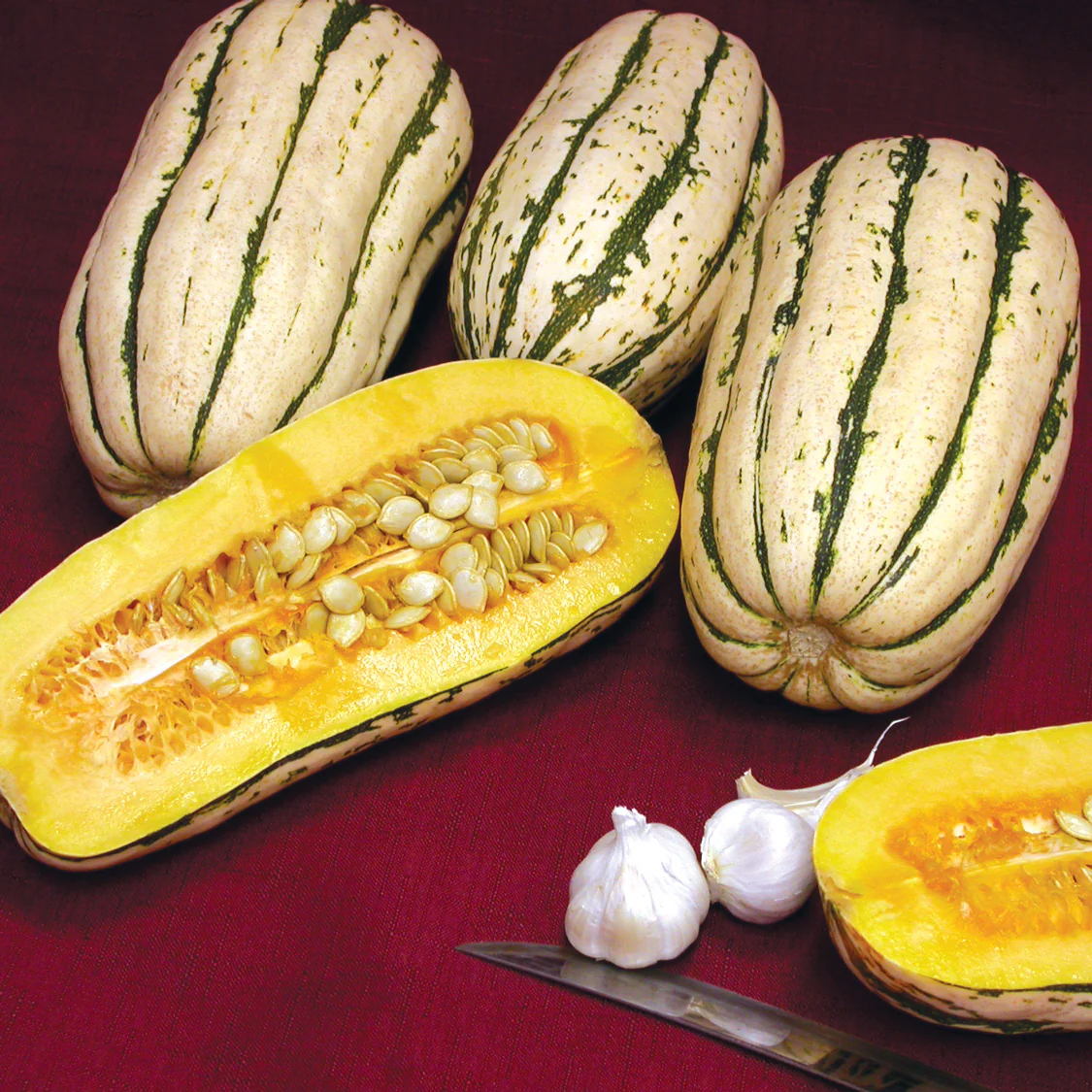 Bush Delicata Winter Squash - Image 2
