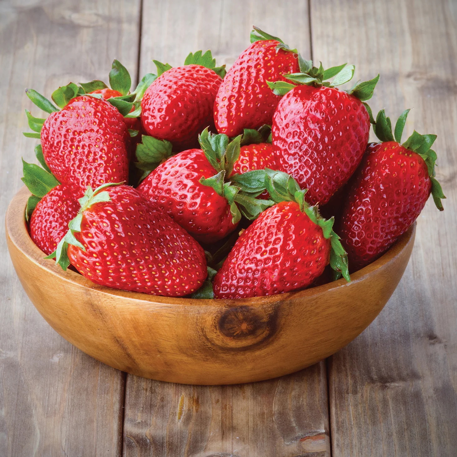 Chandler Strawberry Bare Root